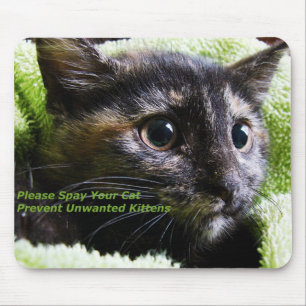 Tapis De Souris S'Il Vous Plaît Spirer Votre Chat Empêcher Les Cha