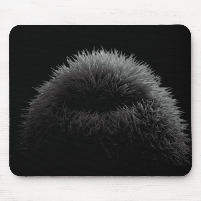 Tapis De Souris Silhouette de B&W (Devant)