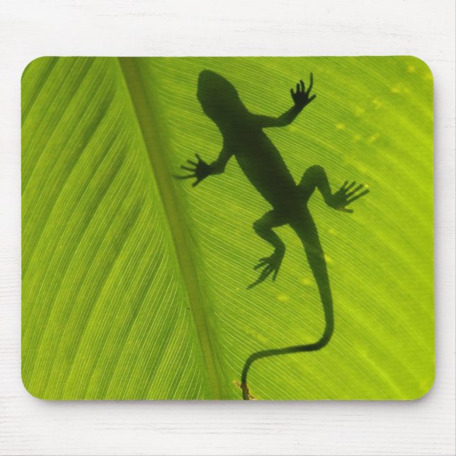 Tapis De Souris Silhouette de Gecko (Devant)