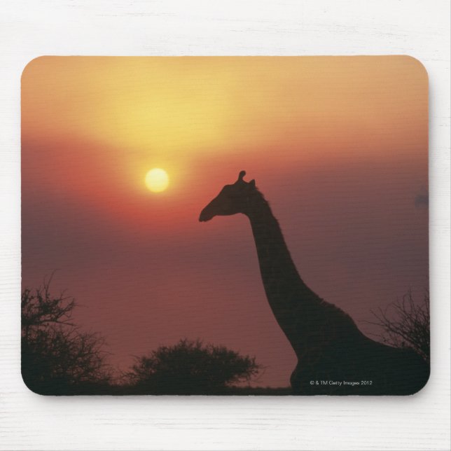 Tapis De Souris Silhouette de Giraffe (Giraffa Camelopardalis) (Devant)
