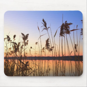 Tapis De Souris Silhouette de plante par coucher du soleil de