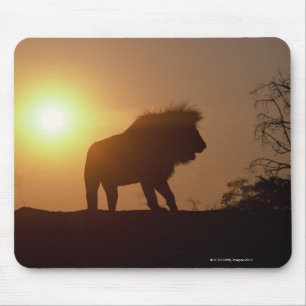 Tapis De Souris Silhouette d'un lion