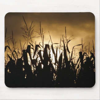 Tapis De Souris Silhouettes de champ de maïs