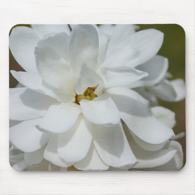 Tapis De Souris Silky Magnolia (Devant)
