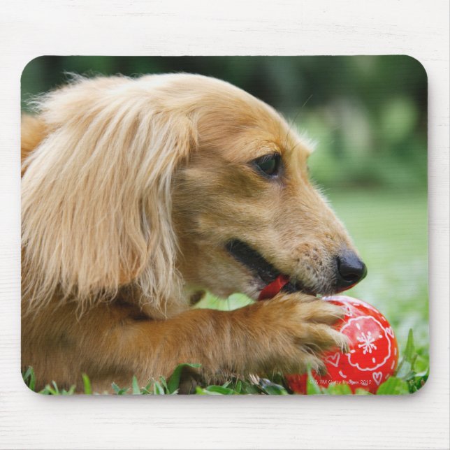 Tapis De Souris Singapour 10 (Devant)