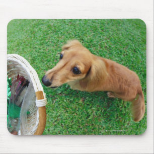 Tapis De Souris Singapour 2