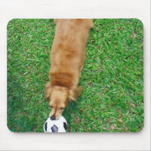 Tapis De Souris Singapour 4