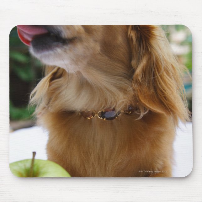 Tapis De Souris Singapour 5 (Devant)