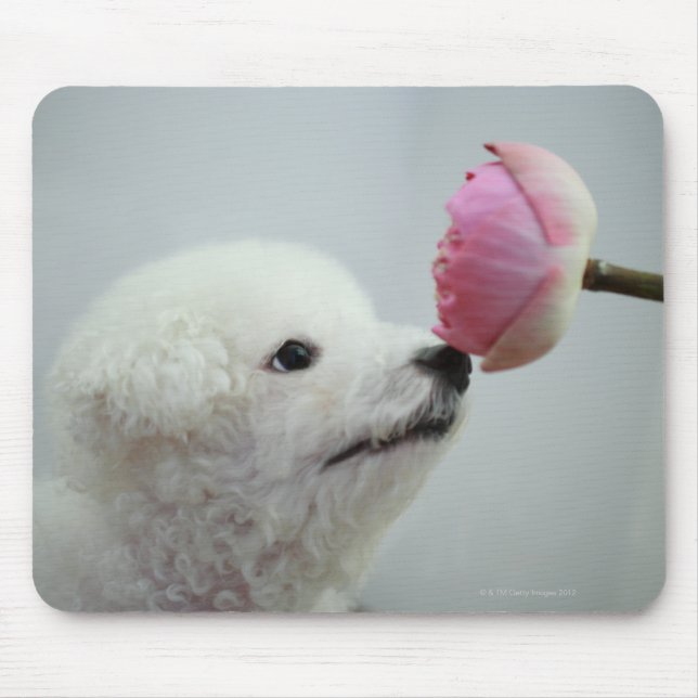 Tapis De Souris Singapour 9 (Devant)