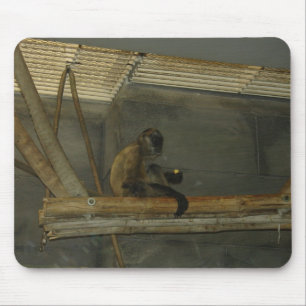 Tapis De Souris singe