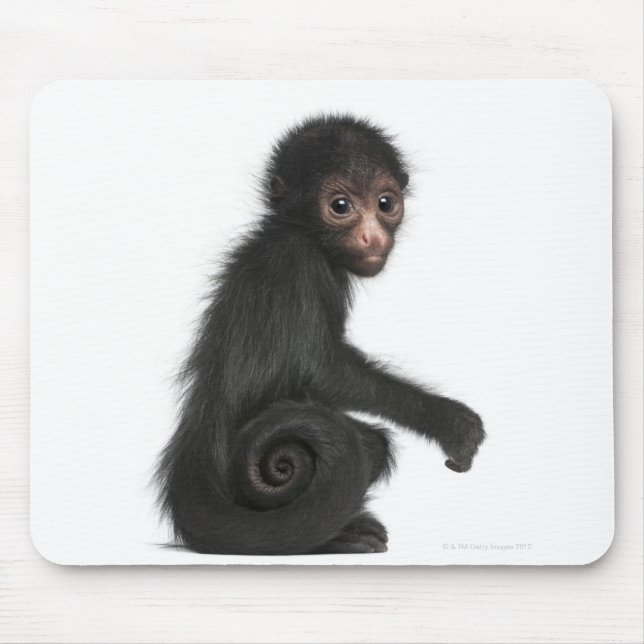 Tapis De Souris Singe à tête rouge - Ateles paniscus (3 (Devant)