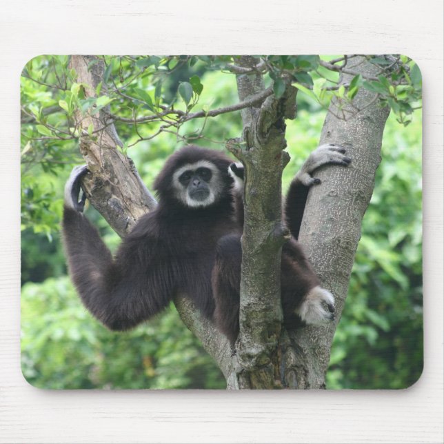 Tapis De Souris Singe de ondulation (Devant)