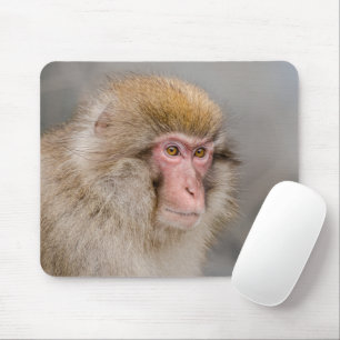 Tapis De Souris Singe des neiges Brown, Photographie japonaise