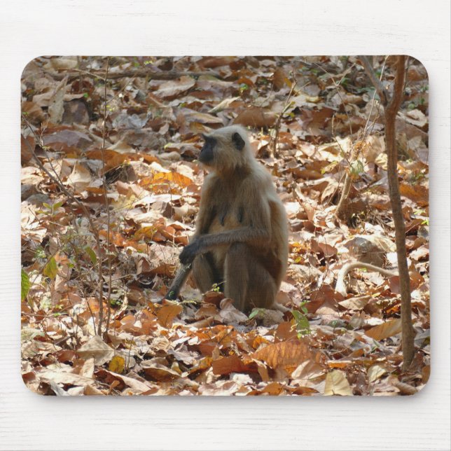 Tapis De Souris Singe en saison sèche (Devant)