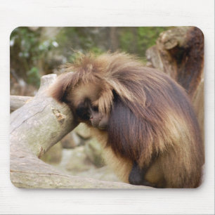Tapis De Souris Singe-gammelé