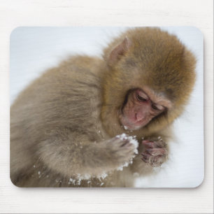Tapis De Souris Singe japonais de neige du Macaque de bébé