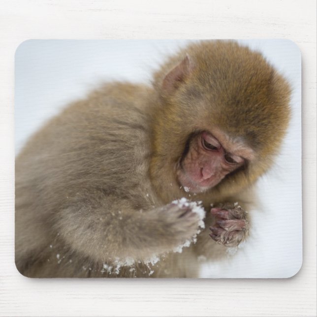 Tapis De Souris Singe japonais de neige du Macaque | de bébé (Devant)