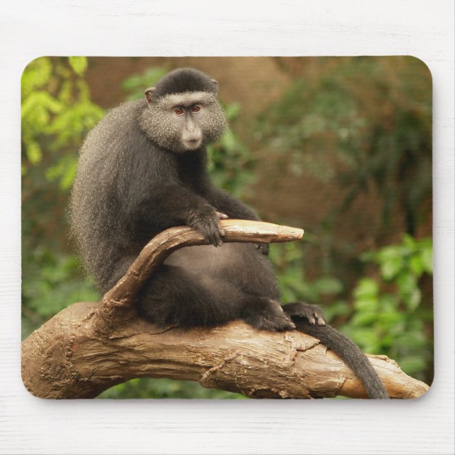 Tapis De Souris Singe Mousepad (Devant)