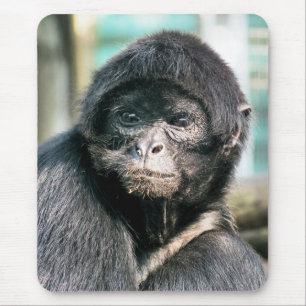 TAPIS DE SOURIS SINGES