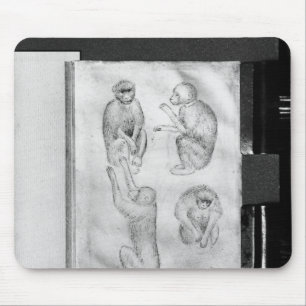 Tapis De Souris Singes, de l'album de Vallardi