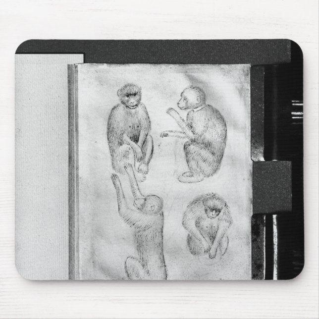 Tapis De Souris Singes, de l'album de Vallardi (Devant)