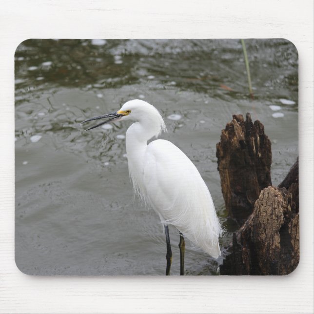 Tapis De Souris Singing Snowy Egret (Devant)