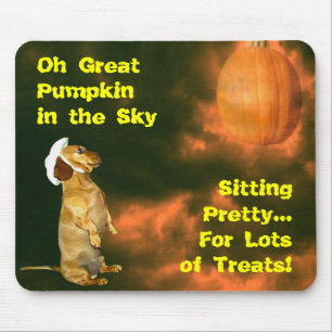 Tapis De Souris Sitting Pretty For Lots of Treats