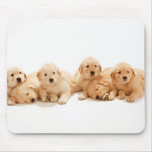 Tapis De Souris Six Marionnettes Golden Retriever