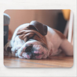 Tapis De Souris Sleeping Bulldog Bown and White Puppy