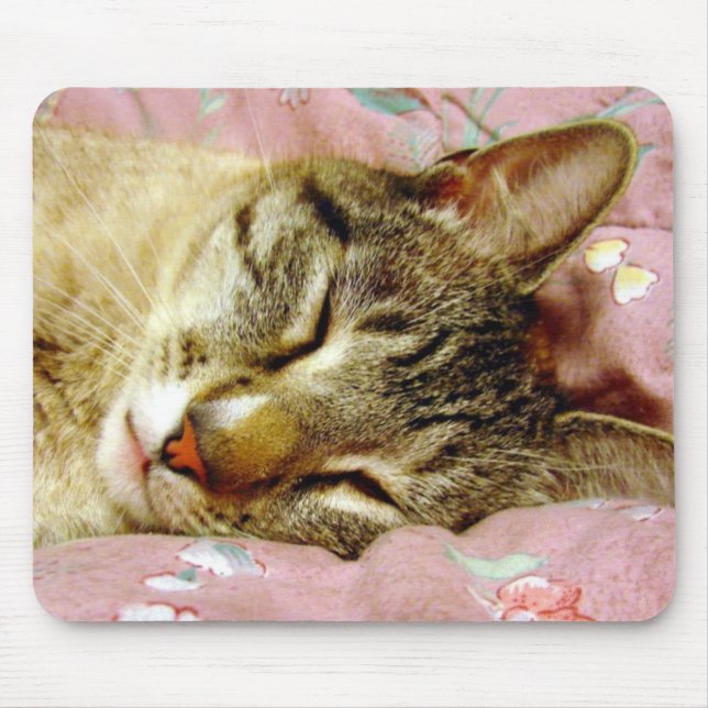 Tapis De Souris Sleeping Cat (Devant)