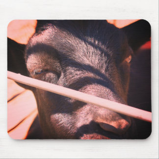 Tapis De Souris Sleepy Bull Farm Animal Nature 