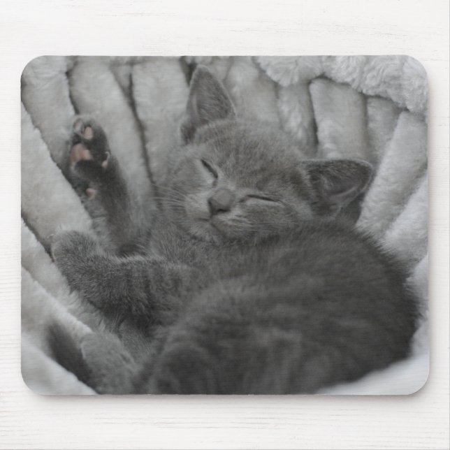 Tapis De Souris Sleepy kitty (Devant)