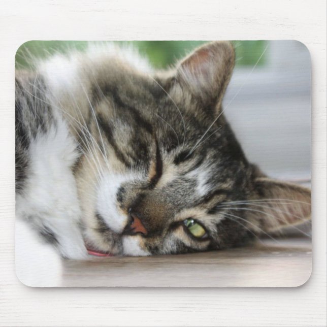 Tapis De Souris Sleepy Zorro Kitty Souris Pad (Devant)