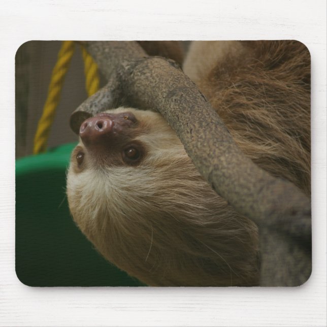 Tapis De Souris Sloth (Devant)
