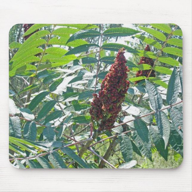Tapis De Souris Smooth Sumac Berries (Devant)