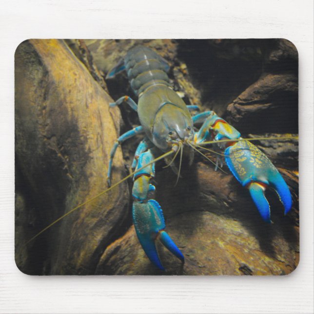 Tapis De Souris Smooth Yabby (Devant)