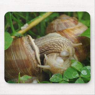 Tapis De Souris Snails Love Kiss Mousepad