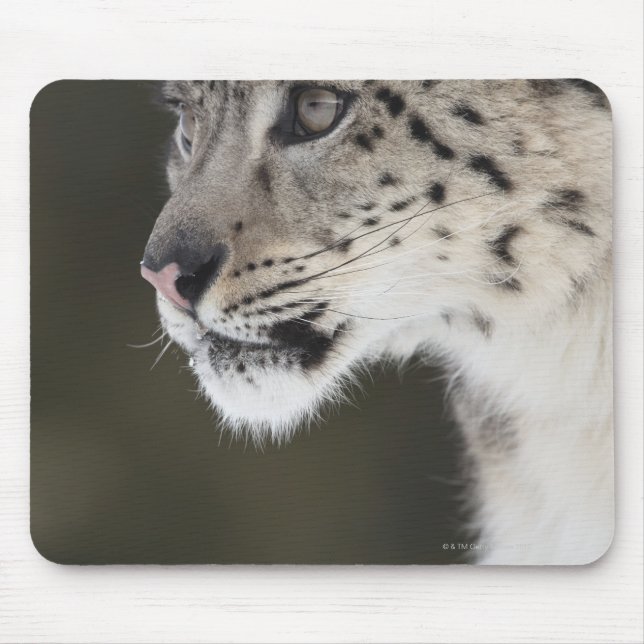Tapis De Souris Snow leopard (Uncia uncia) (Devant)