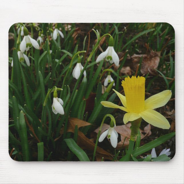 Tapis De Souris Snowdrops et Daffodil Spring Floral (Devant)