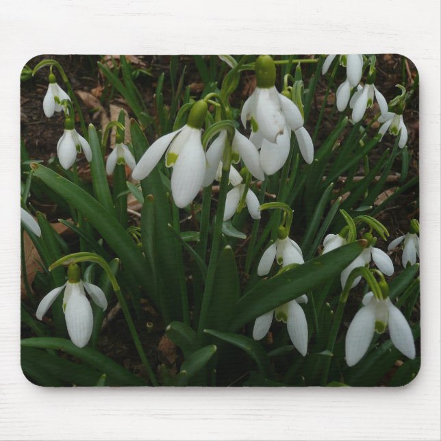 Tapis De Souris Snowdrops I (Devant)