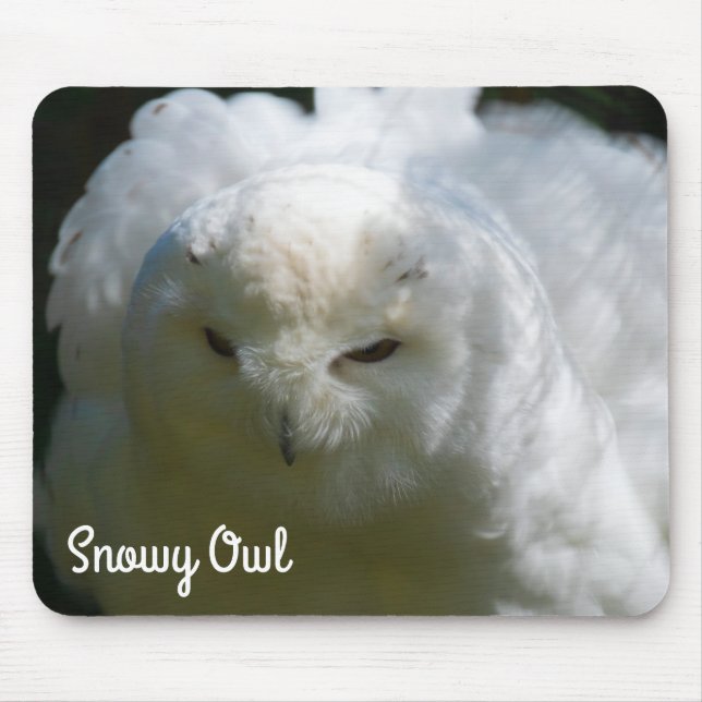 Tapis De Souris Snowy Owl (Devant)