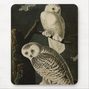Tapis De Souris Snowy Owl, John James Audubon's Birds of America P