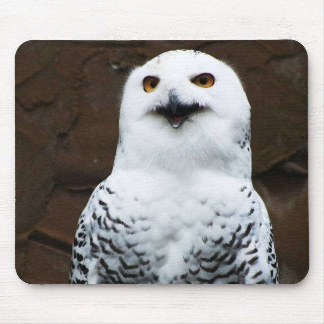 Tapis De Souris Snowy Owl mpcn (Devant)