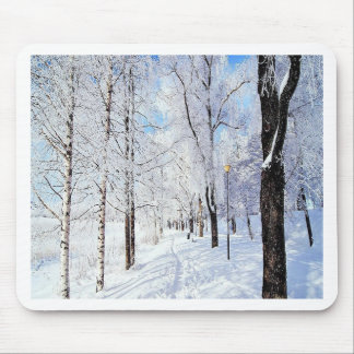 Tapis De Souris Snowy Road