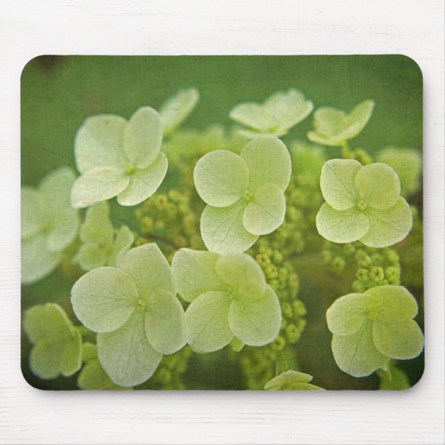 Tapis De Souris Softly Hydrangeas (Devant)