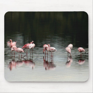 Tapis De Souris Soirée au lac - Mousepad