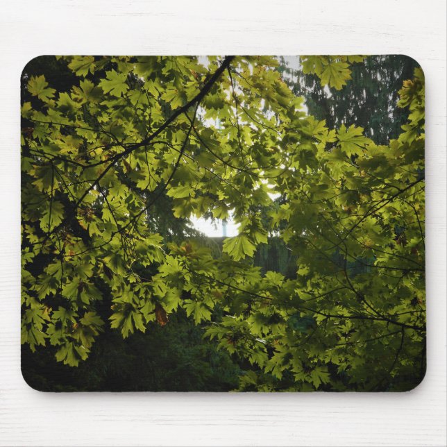 Tapis De Souris Soleil à travers Feuilles verts (Devant)