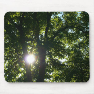 Tapis De Souris Soleil brillant à travers les arbres