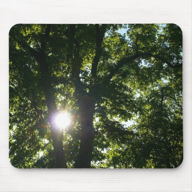 Tapis De Souris Soleil brillant à travers les arbres (Devant)