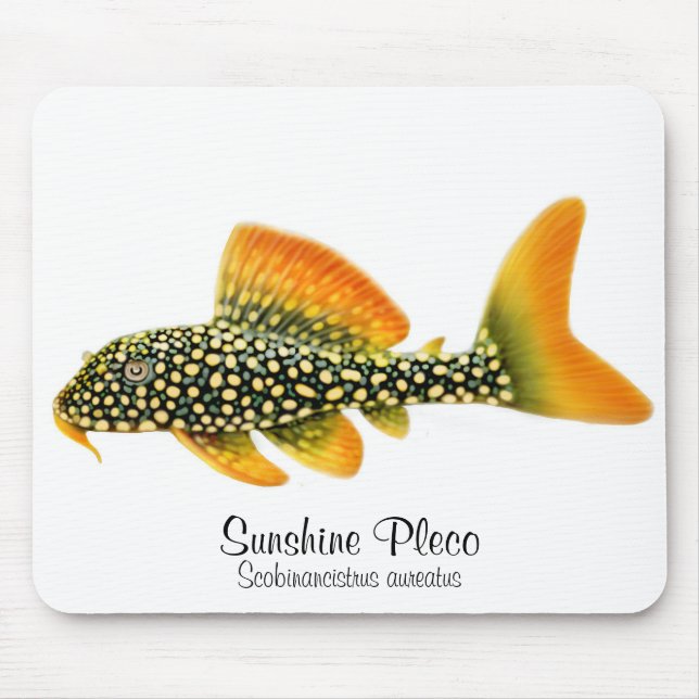 Tapis De Souris Soleil Pleco Mousepad de Goldy (Devant)